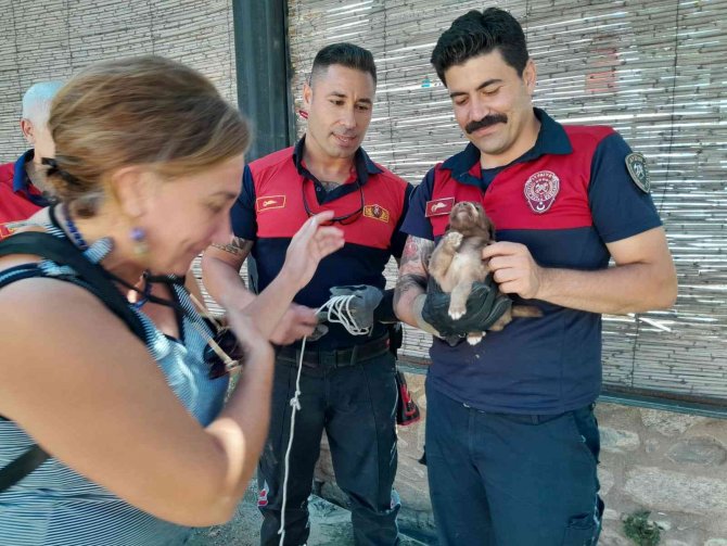 Kuyuya Düşen Yavru Köpeğin İmdadına İtfaiye Ekipleri Yetişti