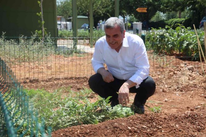 Sıcaktan Bunalanlar Hobi Bahçeleri Ve Belediye Havuzlarına Koştu