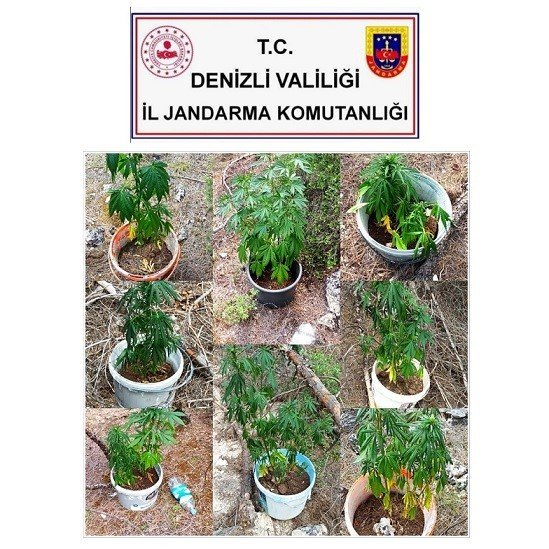 Jandarmadan Suçlulara Geçit Yok
