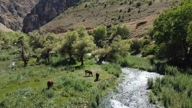 Doğa Harikası Girlevik Şelalesi’ne Hayat Veren Gözeler, Ziyaretçilerin Uğrak Yeri Oldu