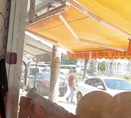 Ağabeyini Vurdu Kayıplara Karıştı