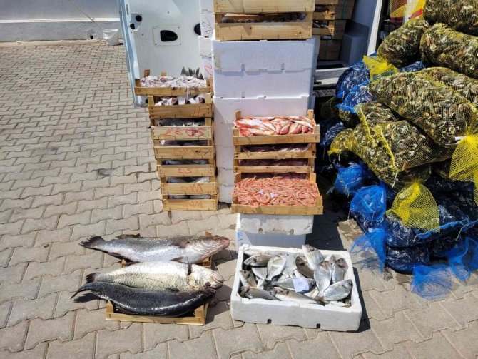 Fethiye’de 146 Kasa Su Ürünlerine El Koyuldu