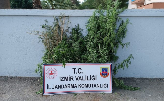 İ̇zmir’de Uyuşturucu Baskınları: 27 Şüpheli Yakalandı