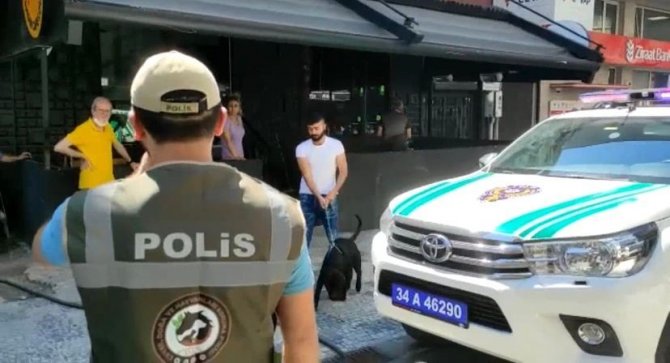 Kadıköy’de Köpek Saldırısı: Köpeğin Sahibine Para Cezası Yağdı