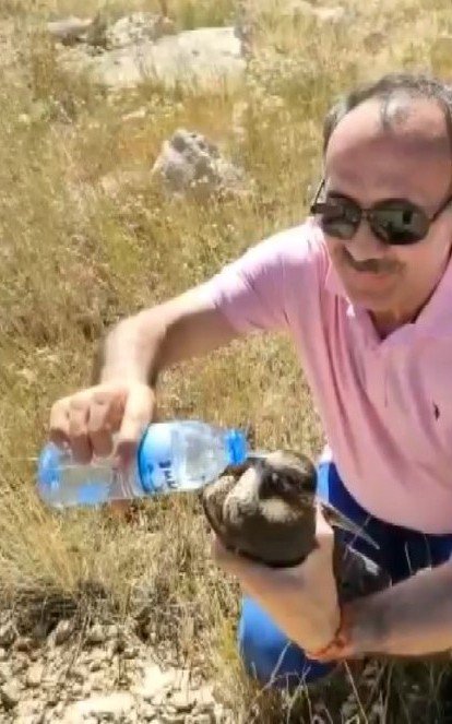 Yol Kenarında Yaralı Buldukları Doğana Yardım Eli Uzattılar