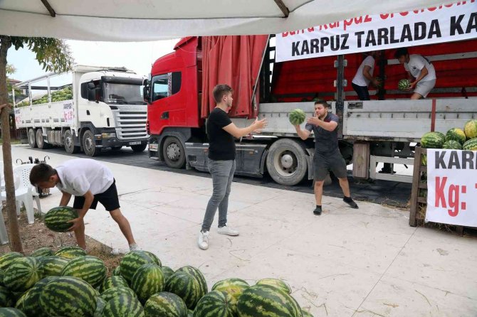 Atakum Belediyesi’nden Çiftçi Dayanışması