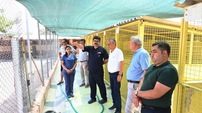 Başkan Topaloğlu: “Tüm Canlıları Korumaya Devam Edeceğiz”