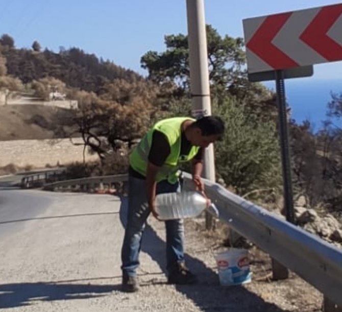 Marmaris Ve Datça’da Yangından Etkilenen Hayvanlara Yem Ve Su Desteği
