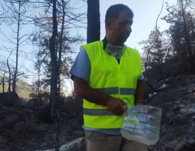 Marmaris Ve Datça’da Yangından Etkilenen Hayvanlara Yem Ve Su Desteği