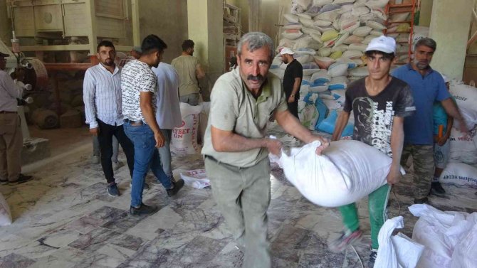 Muş’ta Hasadı Yapılan Buğday Değirmenlerde Öğütülüyor