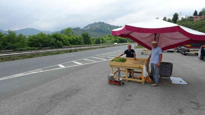 Ordu’da Yeni Fındık Hasattan Önce Tezgahlarda