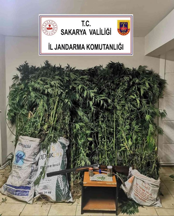 Jandarmadan 2 İlçede Uyuşturucu Operasyonu: 2 Gözaltı