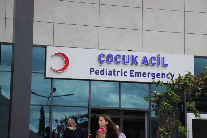Sakarya’da Korkunç Olay: Sokak Köpeğini Vurmak İsterken 3 Çocuğu Vurdu