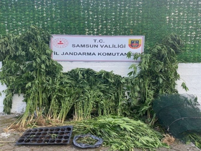 Samsun’da Çok Miktarda Narkotik Madde Ele Geçirildi