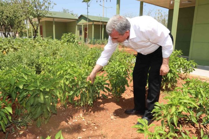 Sıcaktan Bunalanlar Hobi Bahçeleri Ve Belediye Havuzlarına Koştu