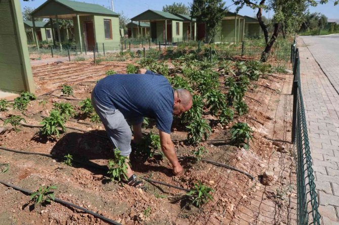 Sıcaktan Bunalanlar Hobi Bahçeleri Ve Belediye Havuzlarına Koştu
