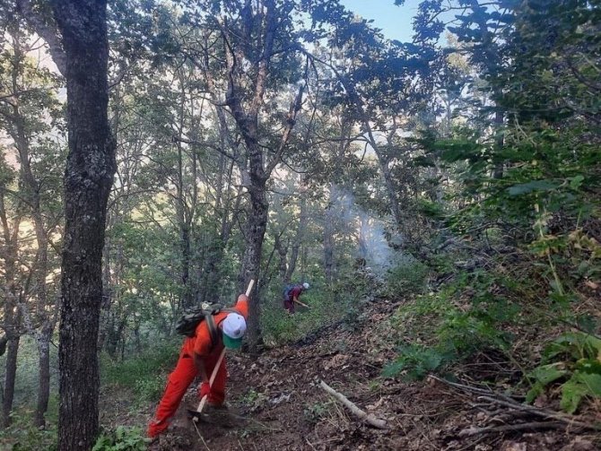 Tunceli’de Orman Yangını Büyümeden Söndürüldü