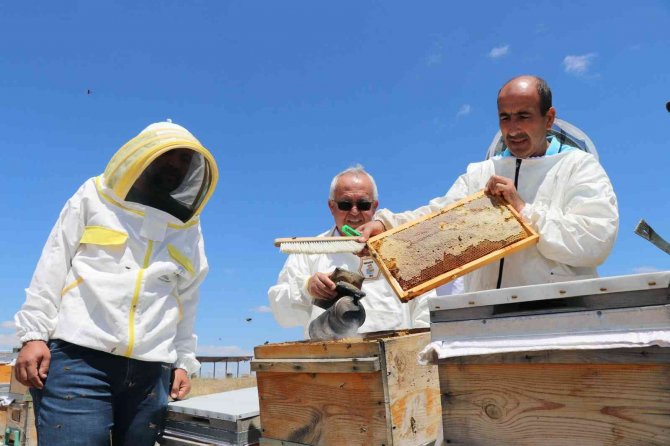 Tab Başkanı Şahin, Gezgin Arıcıları Ziyaret Ediyor