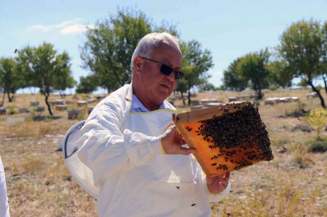 Tab Başkanı Şahin, Gezgin Arıcıları Ziyaret Ediyor