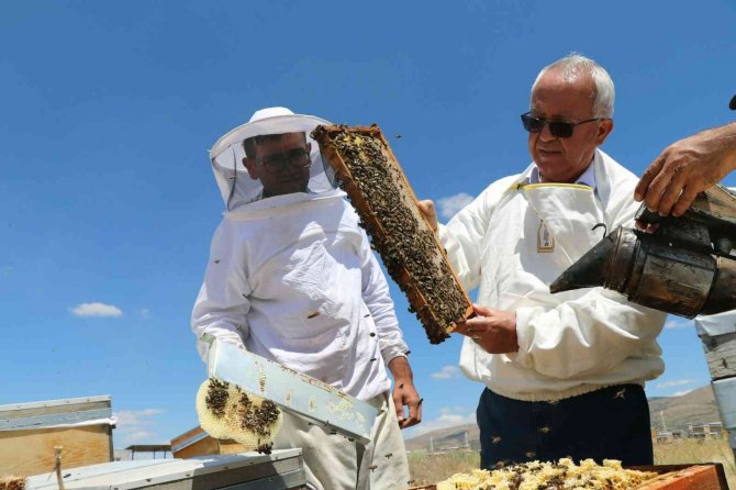 Tab Başkanı Şahin, Gezgin Arıcıları Ziyaret Ediyor