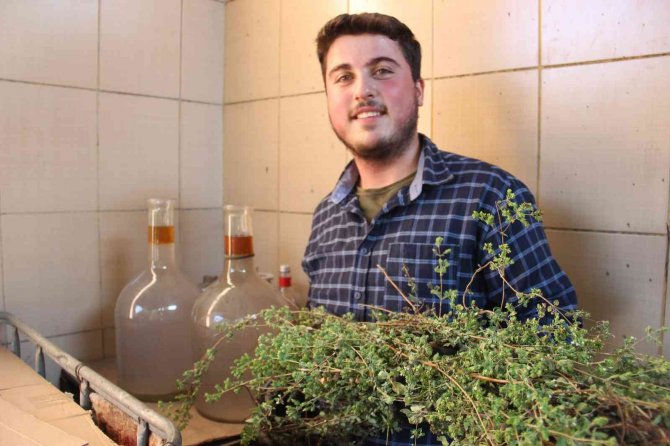 Pandemi Kekiğin Kıymetini Arttırdı