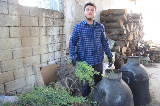 Pandemi Kekiğin Kıymetini Arttırdı