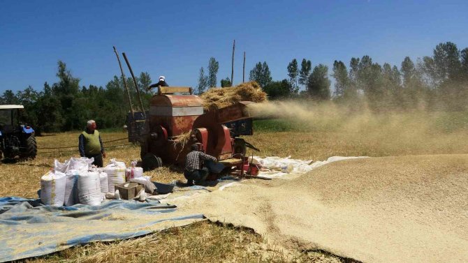 Çiftçilerin Kış Hazırlıkları Başladı
