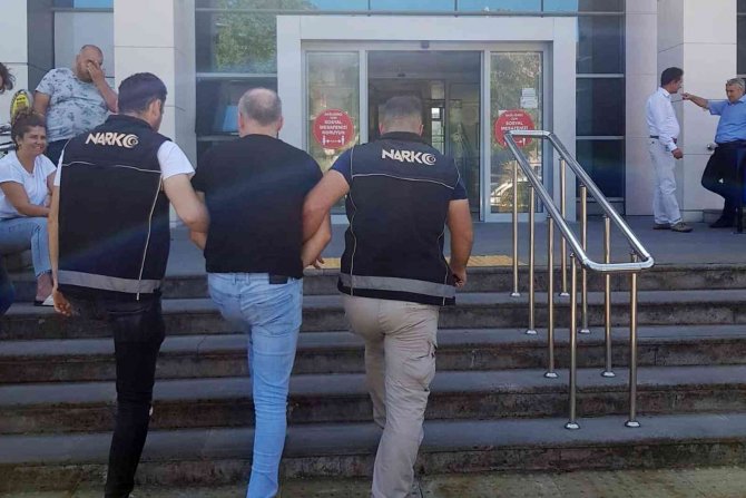 Uyuşturucu Operasyonunda 118 Kök Kenevir Ele Geçirildi