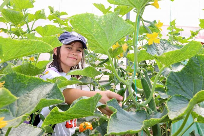 Tarım Ve Doğa Günü Etkinliğini Çocuklar Meraklı Gözlerle Takip Etti