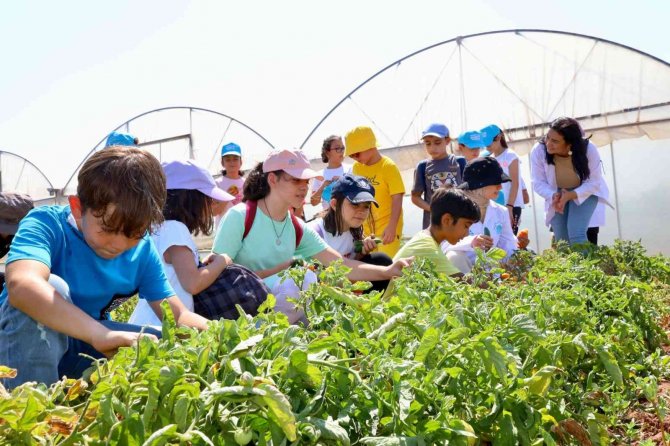Tarım Ve Doğa Günü Etkinliğini Çocuklar Meraklı Gözlerle Takip Etti