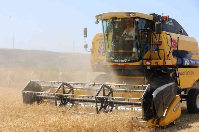 Didim Belediyesi’nin Mahsulleri Didimlilere Kazandırılıyor