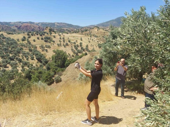 Yabani Kuşlar Yaşam Alanlarına Geri Döndü