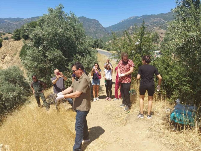 Yabani Kuşlar Yaşam Alanlarına Geri Döndü