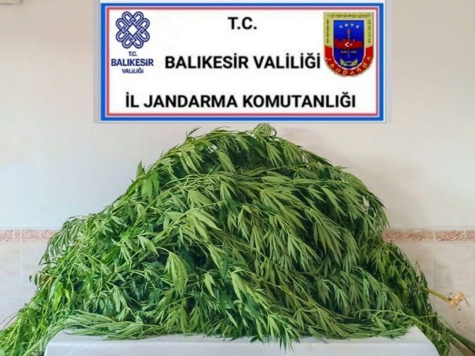 Bandırma’da Uyuşturucu Operasyonu: 1 Kilogram Uyuşturucu Madde Ele Geçirildi