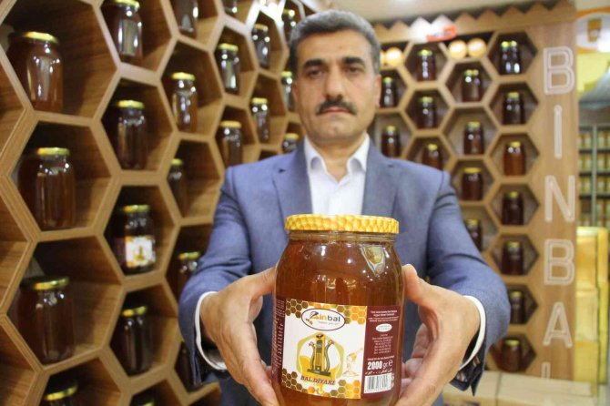 Bingöl Balına İ̇ngiltere’de Altın Madalya