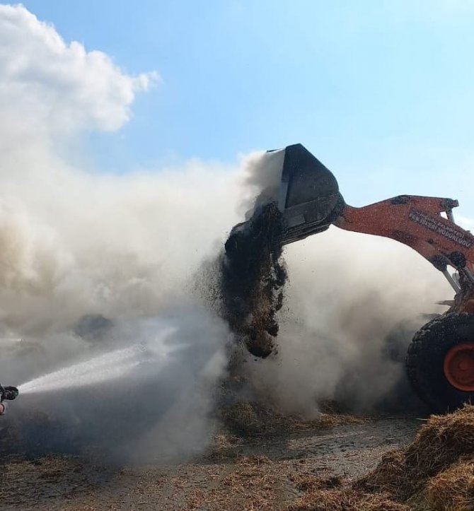 Bursa’da Hayvan Çiftliğinde Yangın