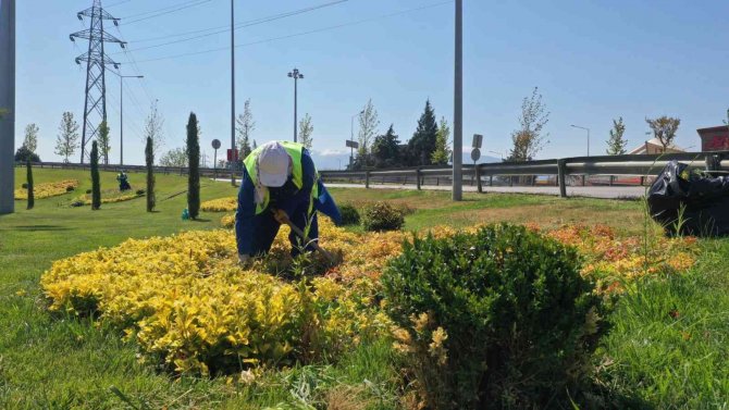 Bursa’nın Yeşili Estetikle Buluşuyor
