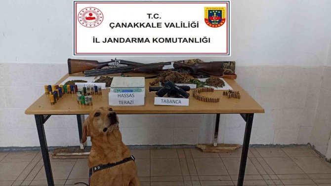 Çanakkale’de Uyuşturucu Operasyonları: 7 Gözaltı
