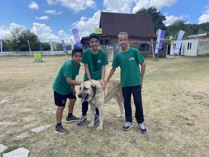 Spor İ̇stanbul’dan Çocukların Keyifli Vakit Geçirdiği Doğa Kampı’na Yoğun İlgi