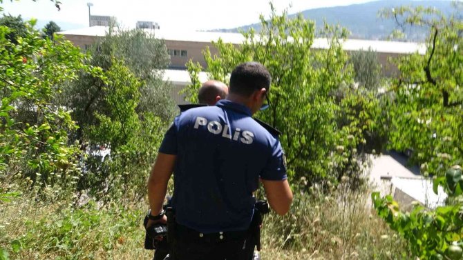 Bursa’da Gezinmek İçin Çıktığı Yoldan 30 Metre Aşağıya Düştü