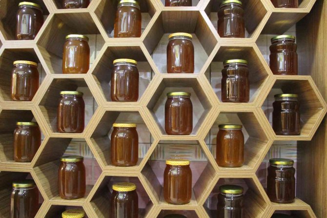 Bingöl Balına İ̇ngiltere’de Altın Madalya