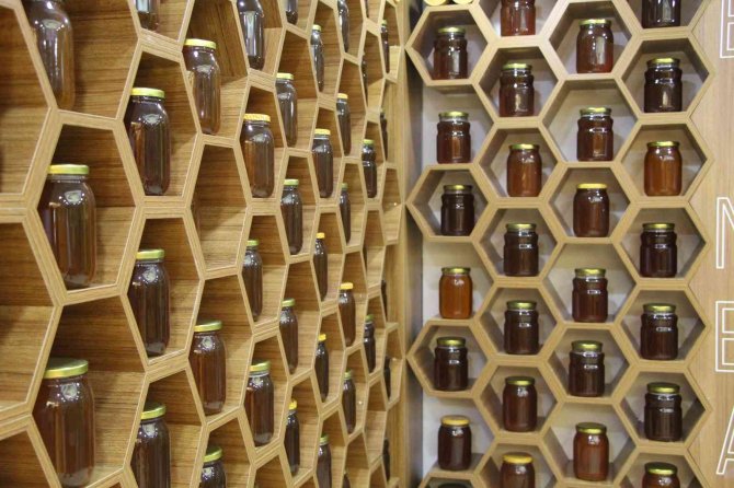 Bingöl Balına İ̇ngiltere’de Altın Madalya