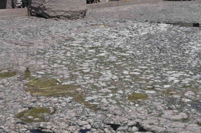 Kars Çayı’na Bırakılan Atıklar Barajda Toplandı