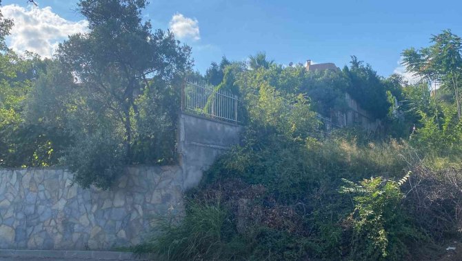 Bahçıvan Olarak Çalıştığı Villanın Havuzunda Can Verdi