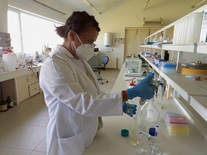 Sinop’ta Bal Analizi Hizmeti Başladı