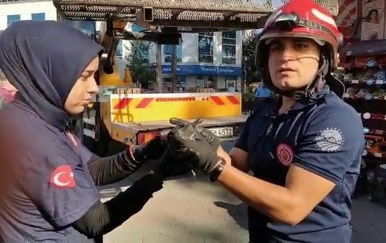 Ağaca Takılan Yaralı Karganın İmdadına İtfaiye Yetişti