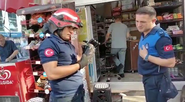 Ağaca Takılan Yaralı Karganın İmdadına İtfaiye Yetişti