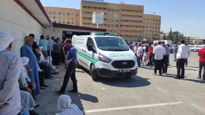 Şanlıurfa’da Elektrik Akımına Kapılan Çiftçi Öldü