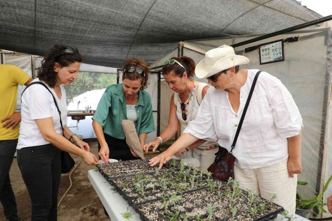Tıbbi Aromatik Bitkiler Toprakla Buluştu