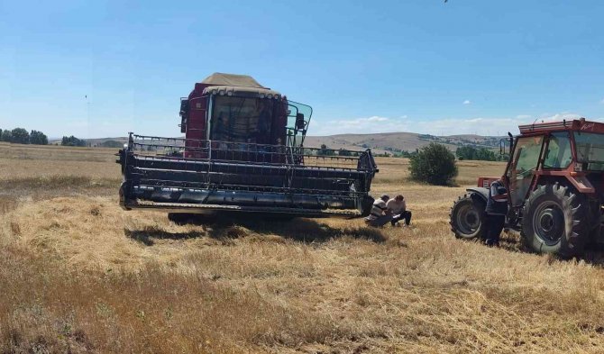 En Az Dane Kaybı İçin Hasat Sezonu Çalışmaları Devam Ediyor